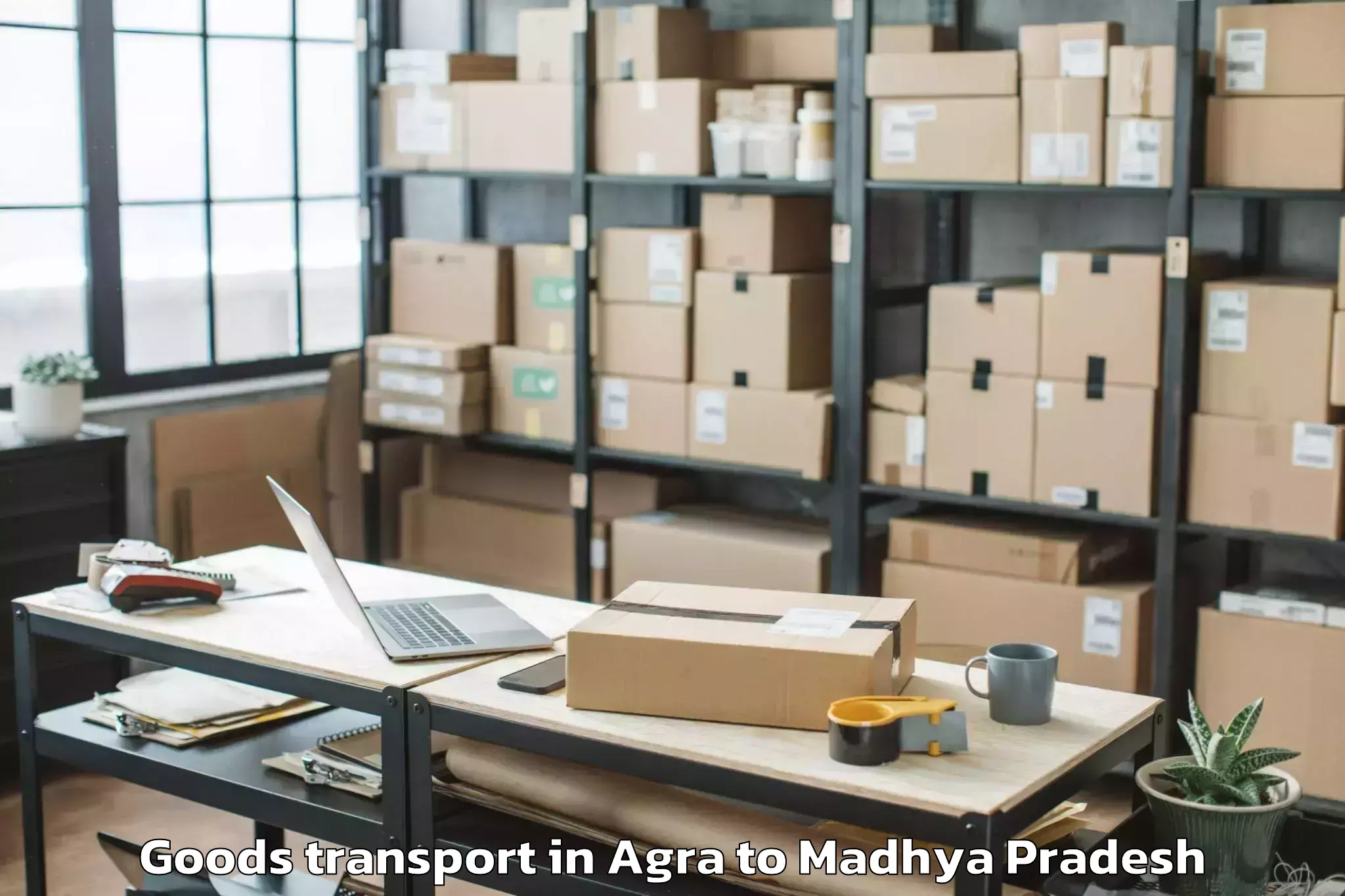 Professional Agra to Majhauli Goods Transport